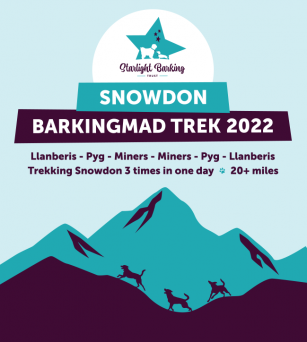 Snowdon Challenge 2022